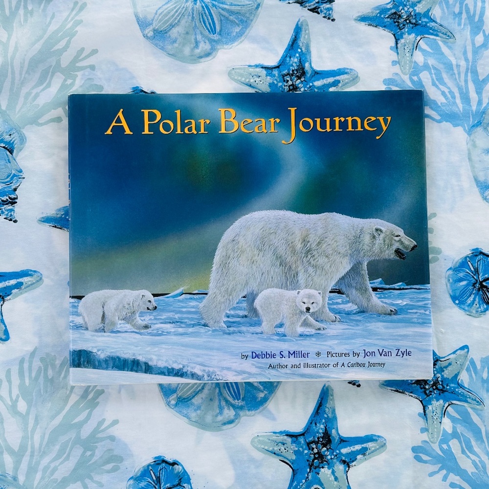 NEW A Polar Bear Journey Hardcover Children's Picture Book